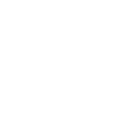 Angus Burgers