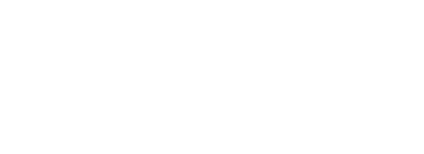 Magnocell